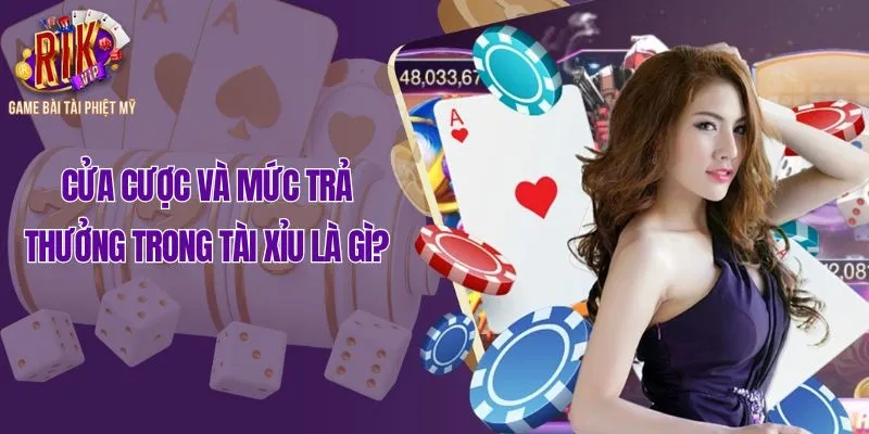 Cửa cược và mức trả thưởng trong tài xỉu