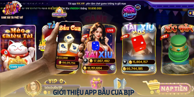 Khái quát ứng dụng bầu cua bịp