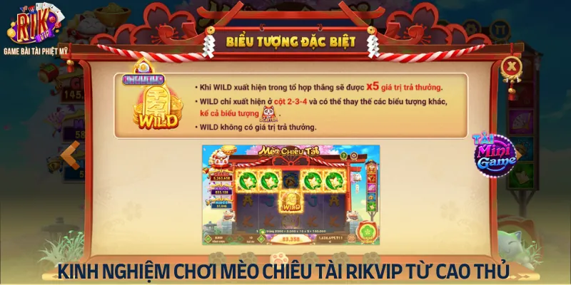 Kinh nghiệm chơi Mèo Chiêu Tài Rikvip từ cao thủ giúp bạn tăng tỷ lệ thắng