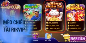 Mèo Chiêu Tài RIKVIP