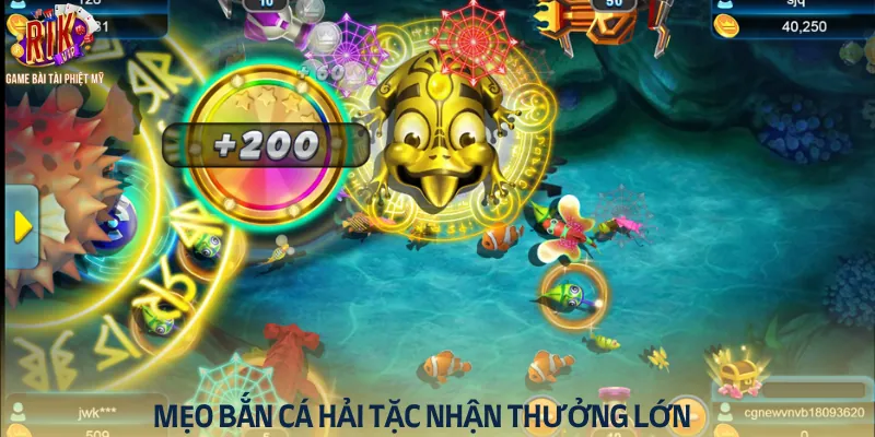 Mẹo bắn cá hải tặc để nhận phần thưởng lớn